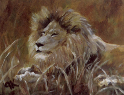 Lion 