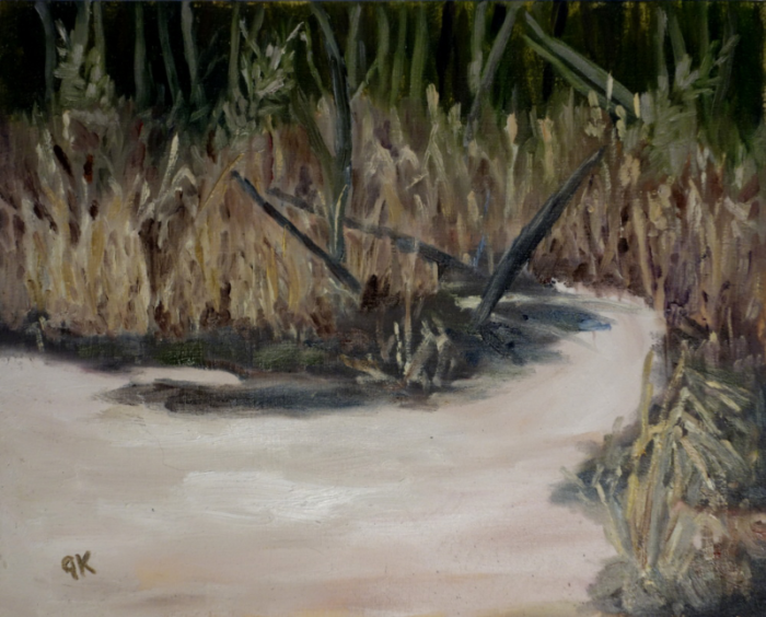 Frozen Pond
