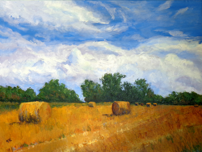 Hay Fields in Nauheim, Germany