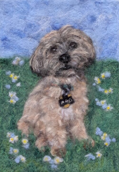 Arlo (Felted)