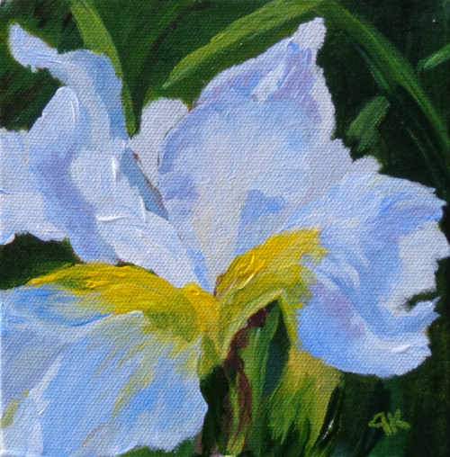 Magical Iris