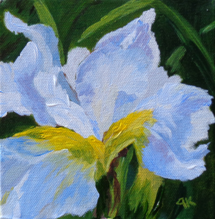 Magical Iris