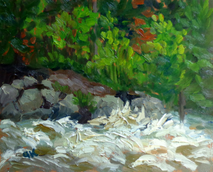 Ottawa River Rapids