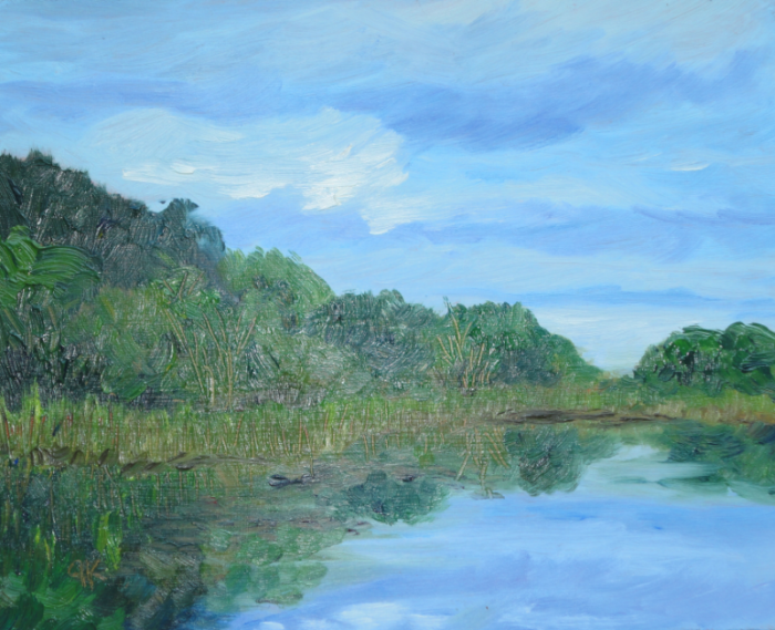 Summer at Mer Bleue I