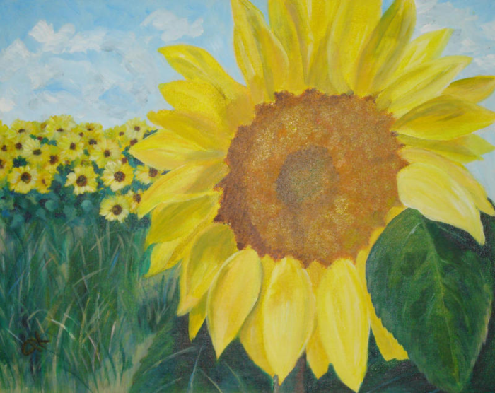 Sunflower