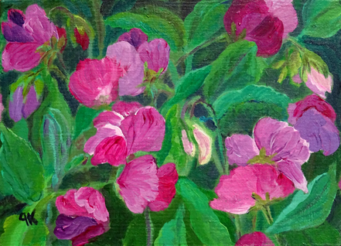 Sweet Peas
